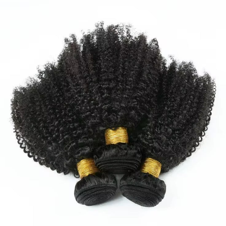 Cabelo afro brasileiro 4b